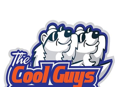 The Cool Guys